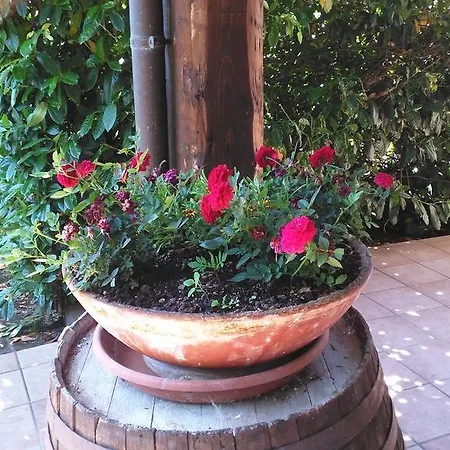 Arcobaleno Bed & Breakfast